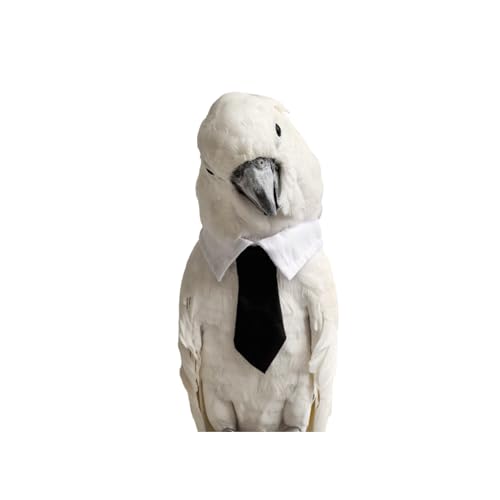 Bird Collar, Bird Clothes, Parrot Bird Supplies, Cute Collar for Medium and Large Birds Eclectus Cockatoo African Grey Amazon Bow Tie Scarf Super Cute Costume Photo Prop for Parrots (Necktie)