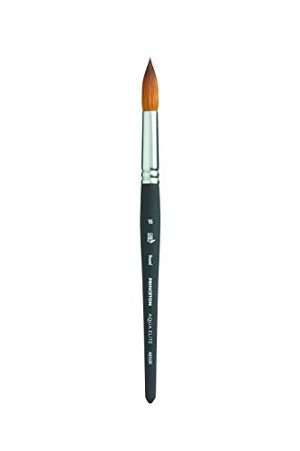 Image of Princeton Aqua Elite, Series 4850, Synthetic Kolinsky Watercolor Paint Brush,Round, Size 16