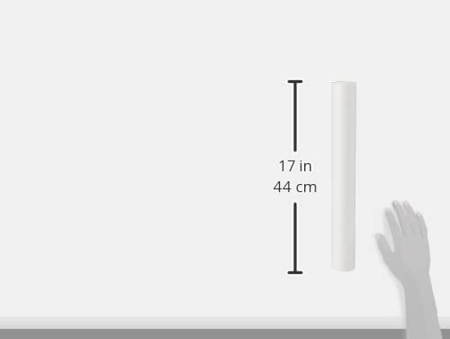 Papier de détail technique West C300 53 gsm 381 mm x 25 M pour traçage précis - 4
