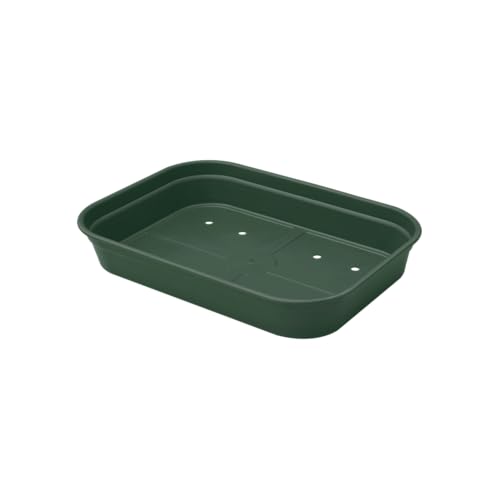 Elho Green Basics Grow Tray M - Verde - Internocoltura E Raccoltaesternoaccessori - L 26.5 X W 36 X H 6.3 Cm