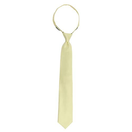 Image of boxed-gifts Umo Lorenzo Mens Zipper Ties Solid Color Pre Tied Polyester Neckties for Men and Women