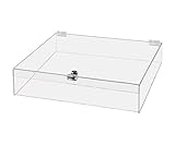Acrylic Locking Display Case with Keys 18