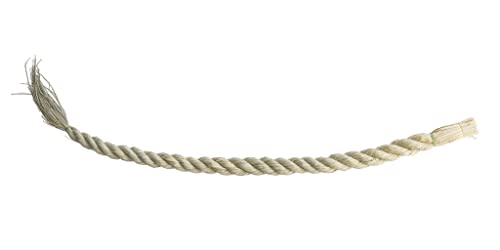 �֐��S�{�[ ���ߓ� ���A�� �Y�� �_�� (3��)