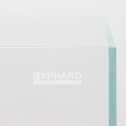 Image of LYPHARD AQUARIUMS 2.9 Gallon Rimless Aquarium, Ultra Clear Glass Low Iron Aquarium Tank, Small Fish Tank for Betta, L11.8xW5.9xH9.8 Inches Thickness 5mm with EVA Foam Mat Included
