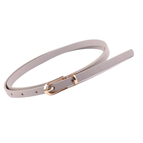 Belts for women, Waist Belt Women's Waist Belts Pu Leather Belts Alloy Pin Buckle Dress Belts Versatile Decorative Jeans Belt(Gray)