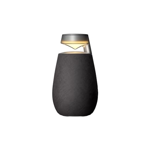 LG XBOOM Go DXO2T 360° Bluetooth Lautsprecher