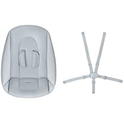 Tronas Reclinables Para Bebés Maxi-Cosi Nesta Kit Recién Nacidos, Cojín Reductor para Recién Nacidos para la Trona Maxi-Cosi Nesta, para Bebés de 0 a 6 meses (9 kg), Beyond Sky Grey