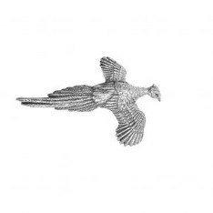 Pheasant Pin Badge Brooch Gift, Supplied in Organza Bag