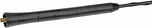Best Dorman Antenna