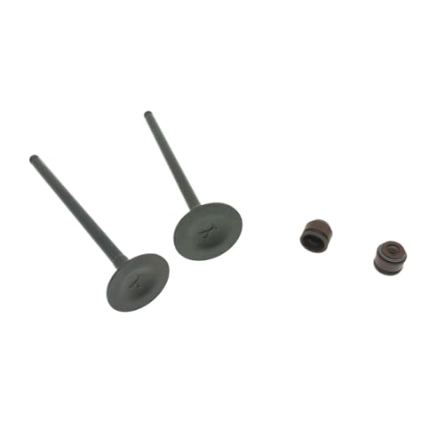 Joint étanchéité soupape moto GN125H GS125 pour trajet quotidien