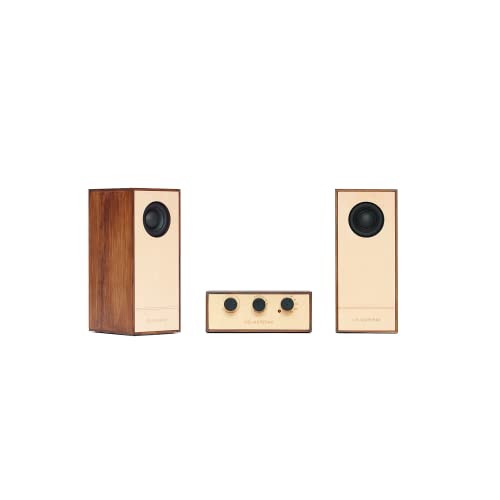 【未使用】CELIA＆PERAHウッディ　DIYスピーカーBluetooth対応 Amazon.co.jp: R4（アール4） DIYオーディオシステム DIY Audio