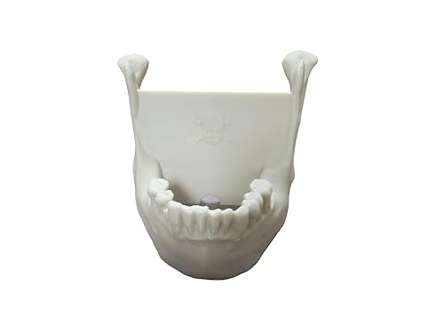 3D Printed Jaw Bone Business Card & Device Holder
