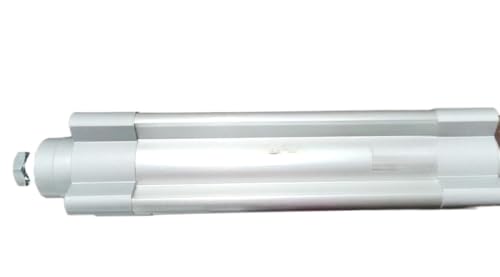 1 Piece New for Cylinder DSBC-125-300-PPVA-N3