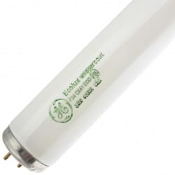 Replacement for Light Bulb/LAMP F34/CX41/WM/ECO Light Bulb by Technical Precision 2 Pack