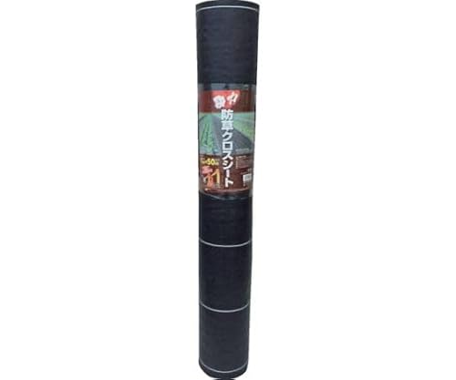 {}^C(Nihon Matai) ͖hNXV[g 1×100m  Ǌ DDHC10590