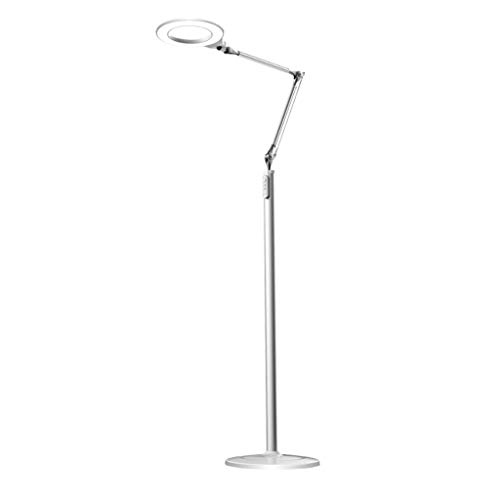 Floor Lamp for Living Room Remote Control Floor Lamp Touch Control Reading Standing Lamp, Color Temperatures with Dimmer Floor Lamps Adjustable Task Lighting Standing Lamp Home Decoration