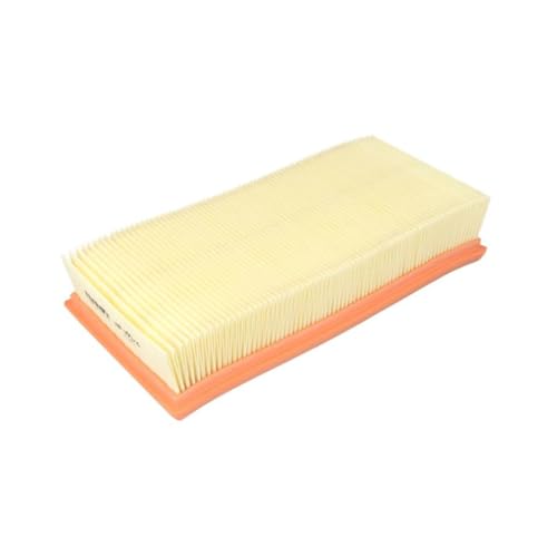 Filtron Filtre Ă air AP190/6