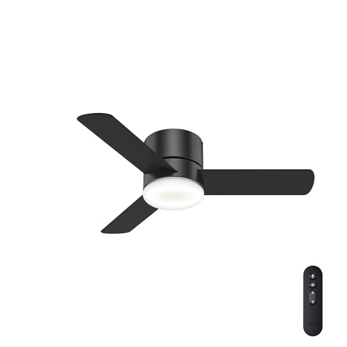 Hunter 44 inch Indoor Ceiling Fan with Light and Remote
