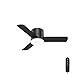 Hunter Indoor Low Profile Ceiling Fan with LED Light and remote control - Minimus 44 inch, Black, 59453