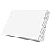 Cardinal 84812 Paper Insertable Tab Dividers, 5-Tab, 11-Inch x17-Inch, Clear