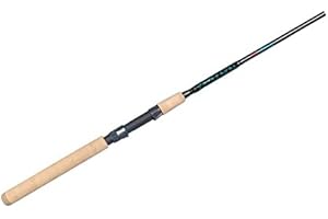 Falcon Coastal Clearwater SWC Spinning Rod