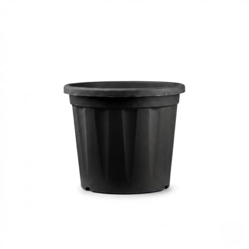 Image of 8 Inch Heavy Duty Plastic Planter | Grower Pot /Garden Pot for Home & Garden (Black) (Pack of 1)
