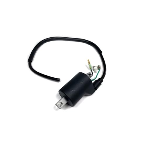 Bobine d'allumage de moto évite les pannes électriques EXCF FX