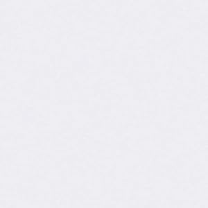 THERMOWALL wit isolatiebehang 393861 – overschilderbaar isolerend thermovlies – behang energiebesparend – 10,05 x 1,06 m