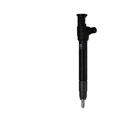 28602948 28388960 9674984080 fB[[RCWFN^[ - Delphi Citroen Peugeot Ford 2.0 HDi TDCI Ή