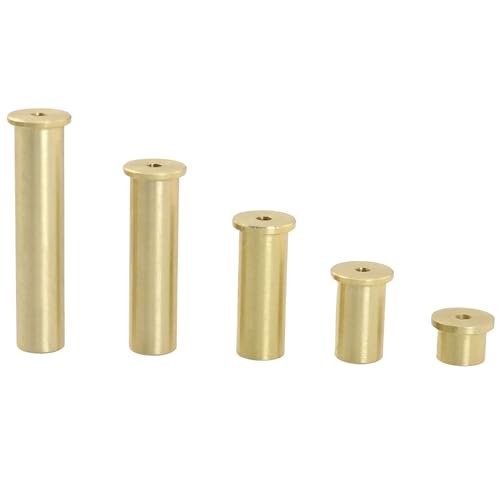 TAODAN 1 Set Golf Club Balancing Weights (2 4 6 8 10g Each) Brass Tip Suitable for Iron and Steel Shafts