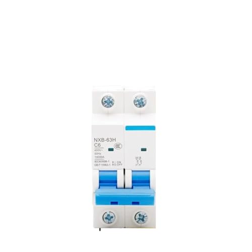 Disjoncteur 10kA NXB-63H 2P 32A protection surcharge circuit éclairage maison