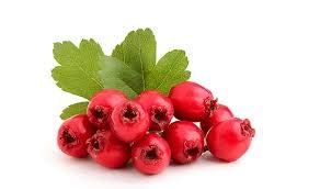 Bharat Hawthorn berry-Powder-100 Gram Pack. A Herbal Remedy Based on Ayurved Formulation (B08HYLCHGM) Amazon Price History, Amazon Price Tracker
