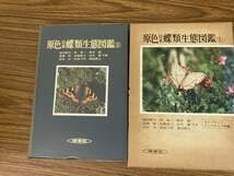 Amazon.co.jp: 原色日本蝶類生態図鑑 Ⅱ 保育社夕 : おもちゃ