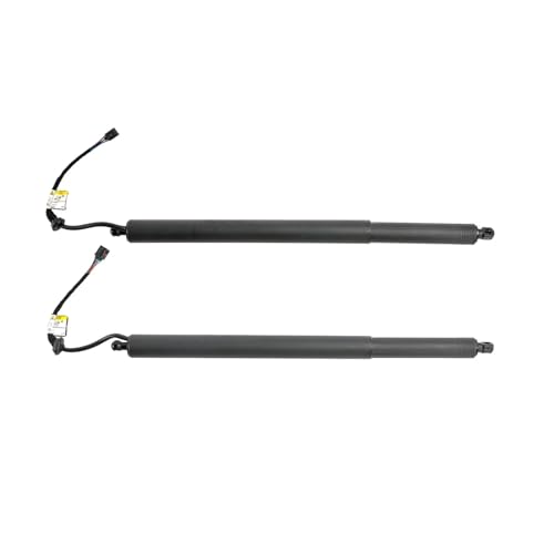 Coffre bloqué ? Vérin de hayon électrique de remplacement 81841S8100 pour Hyundai Palisade
