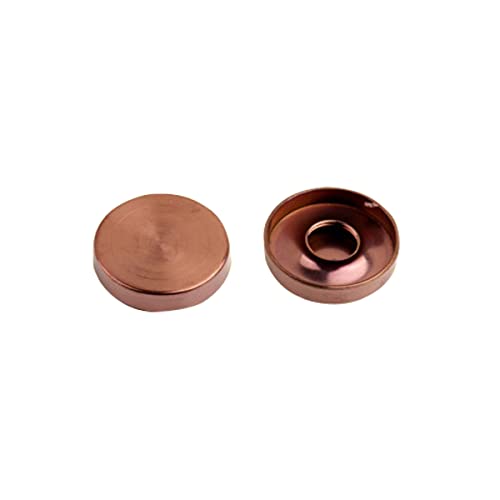 Mirror Screws 22mm 304 Stainless Steel Cap Cover Nails for Decorative Mirror Sign/Advertising Hardware, Nails, Construction(Rose Gold)