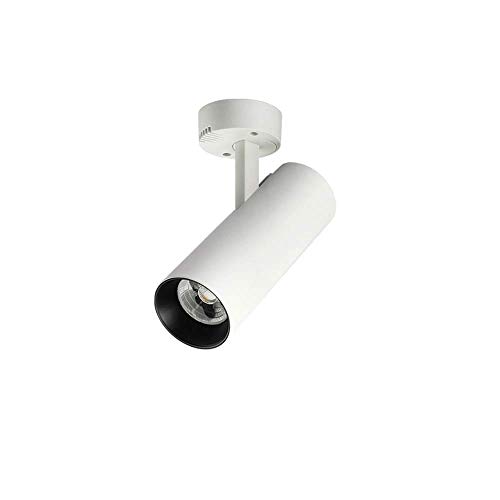 Lampe de plafond orientable 360 et pliable 90 pour un éclairage sur mesure