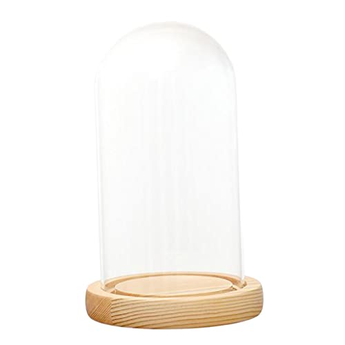 MotiveTech Cúpula de Cristal Transparente Dome de Vidrio con LED en Base de Madera Jarrón para Miniaturas y Plantas Adecuado para Regalo Sala de Estar Decoración