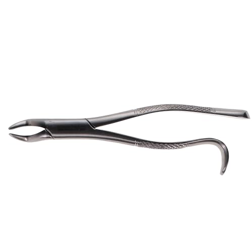 House Brand Dentistry 300300 HSB Dental Extraction Forceps #210