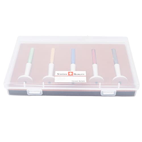 Reloj lubricante engrasador profesional de acero reparación de relojes aceite pluma herramienta accesorio para relojero 5 piezas