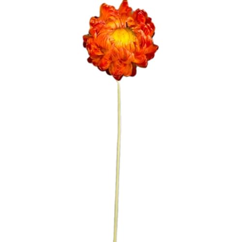 20 Piezas Ramo de Flores Secas Naturales Multicolor miniatura 4