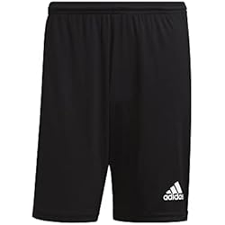 adidas Squadra 21 Shorts Bermudas, Black/White, L Hombre