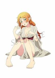 Amazon.co.jp: 異世界おじさん BDDVD アニメイト全巻購入特典