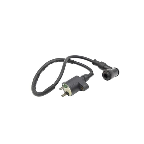 Bobina de encendido de motocicleta ARN 3 para solucionar tirones 3