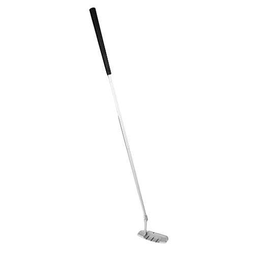Homyl 3-Seção Dobrável Portátil Destro Golf Putter Club Prata 35