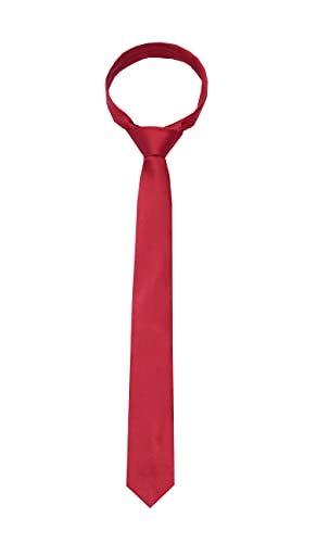 Image of TIE STUDIO Mens Formal Neckties| Standard Size | Premium fabric | Superior finishing| Packaging - Folder | Set of 1