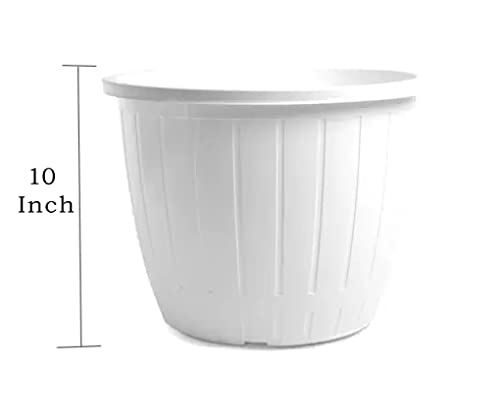 Bianco Plastic DURE Flower Pot for Gardening, Indoor/Outdoor Planter-White (10 INCH)(Pack of 6)