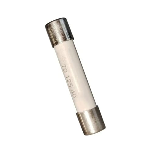 Fusible miniature 7012540.16 16A 500V d'origine pour protection de circuit électrique en lot de 10