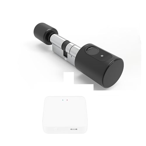 Tuya APP �w�䃍�b�N���[���V�����_�[�d�q�X�}�[�g�h�A���b�N RFID �J�[�h �f�W�^���L�[���X�G���g���[�X�}�[�g�z�[�����b�N ���z����(Black with gateway,45 and 45 to 55)