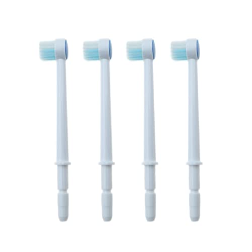 Têtes de brosse à eau lot de 4 canules de rechange pour jet dentaire