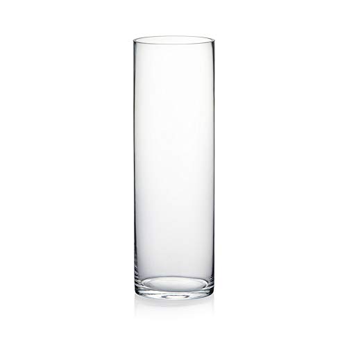 WGV Cylinder Vase, Diameter 5", Height 16", Clear Glass Floral Planter Container, Tall Centerpiece Arrangement for Wedding Party Event Home Office Decor, 1 Piece